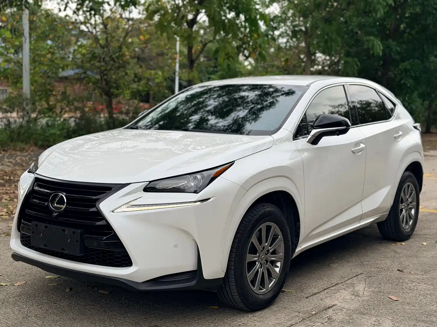 Lexus NX 2016 200 Special Limited Edition фото 2