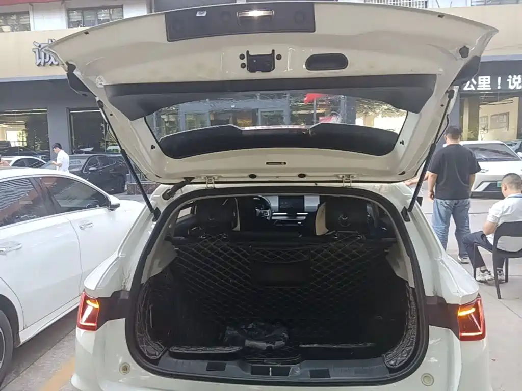 BYD e2 2019 2019 Standard Range Intelligent Comfort
