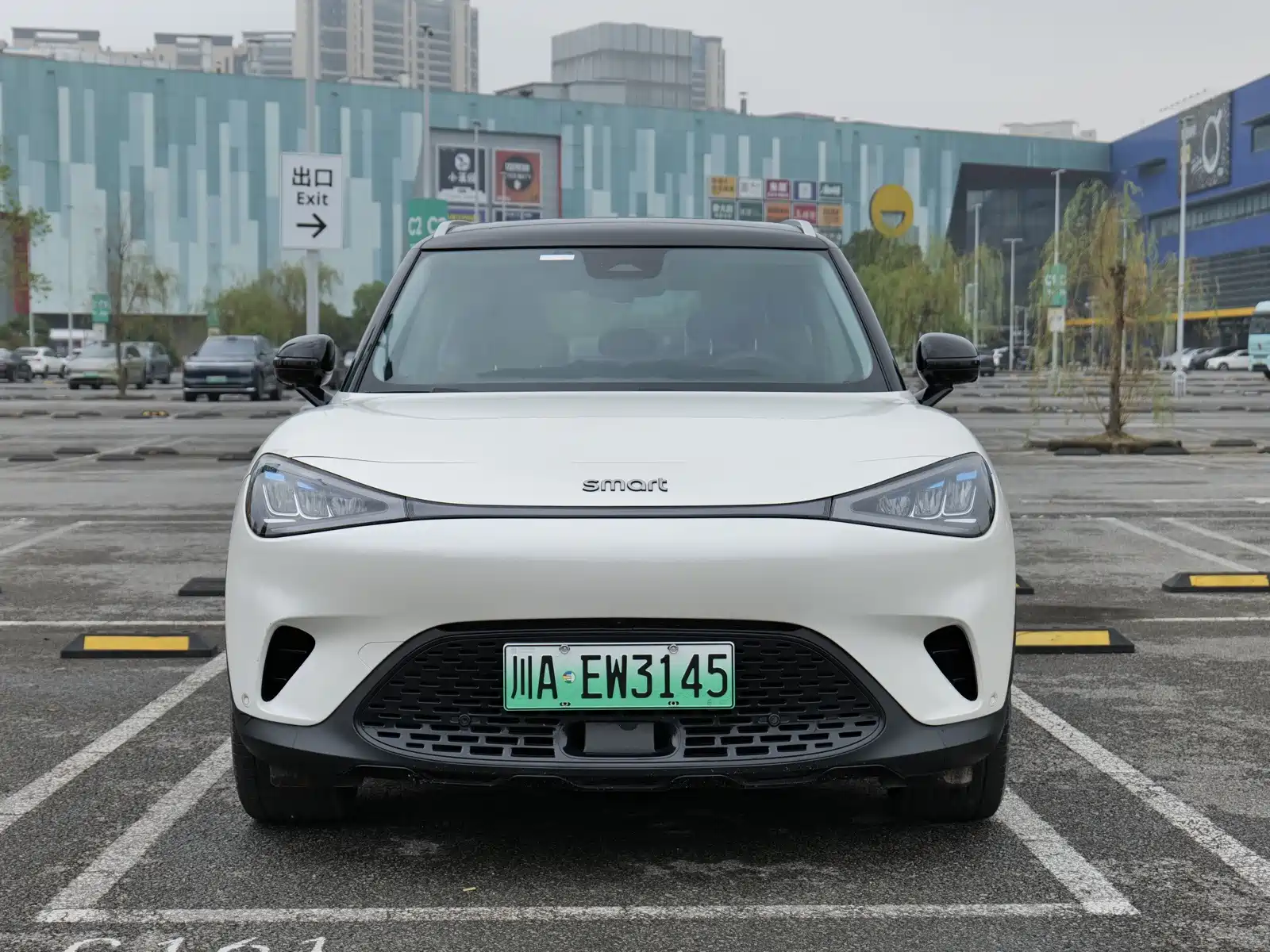 Фото 2 - smart Elf #1
