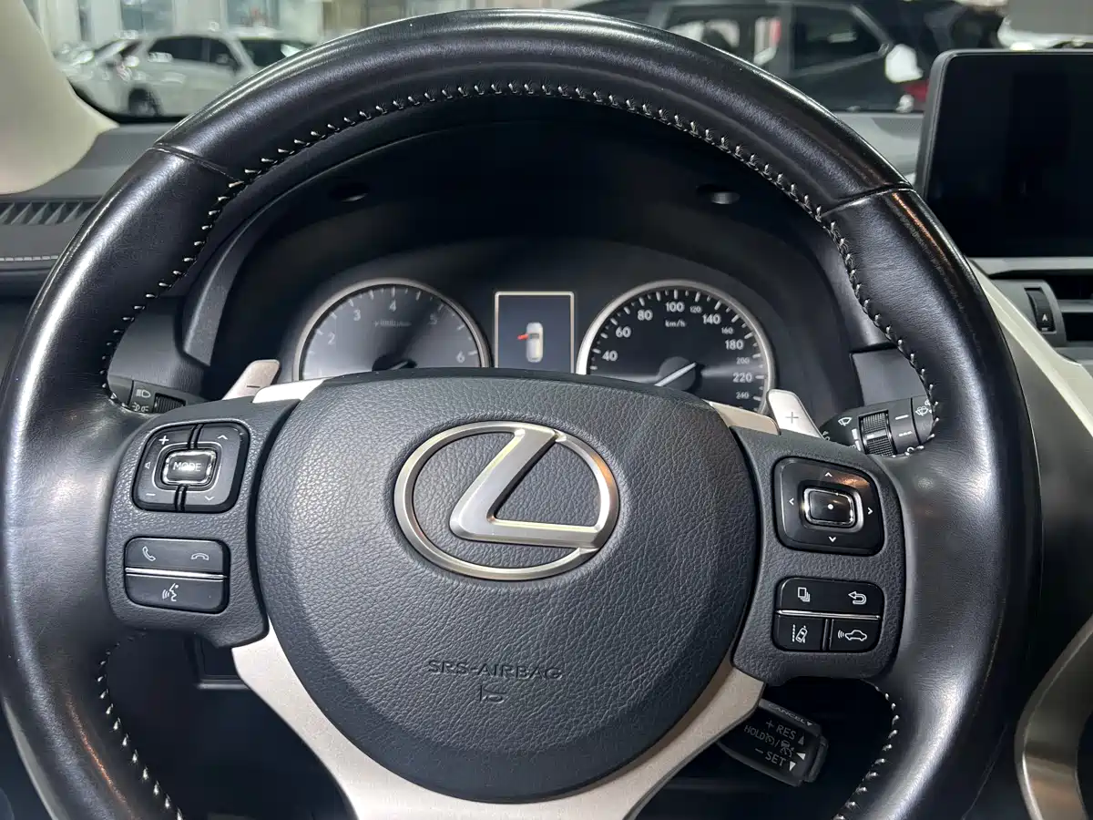 Lexus NX 2020 200 AWD F Sport China V фото 9