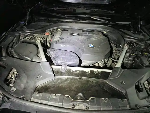 BMW 5 Series 2021 530Li Premium Luxury Package — фото 3