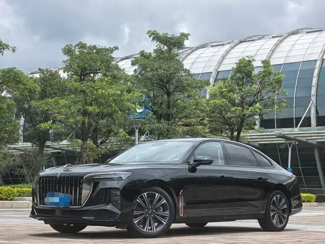 Hongqi H9 2024 2.0T Qi Chang Private Fashion Edition