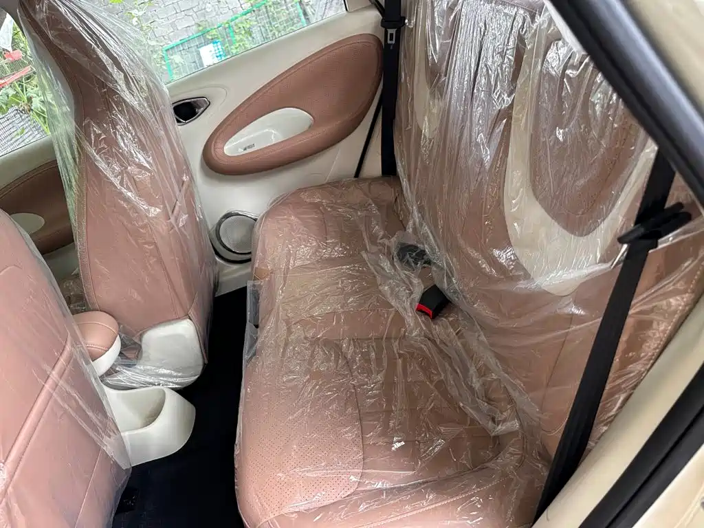 Wuling Motors Wuling Bingo 2026 2025 Model 333km Joy Edition