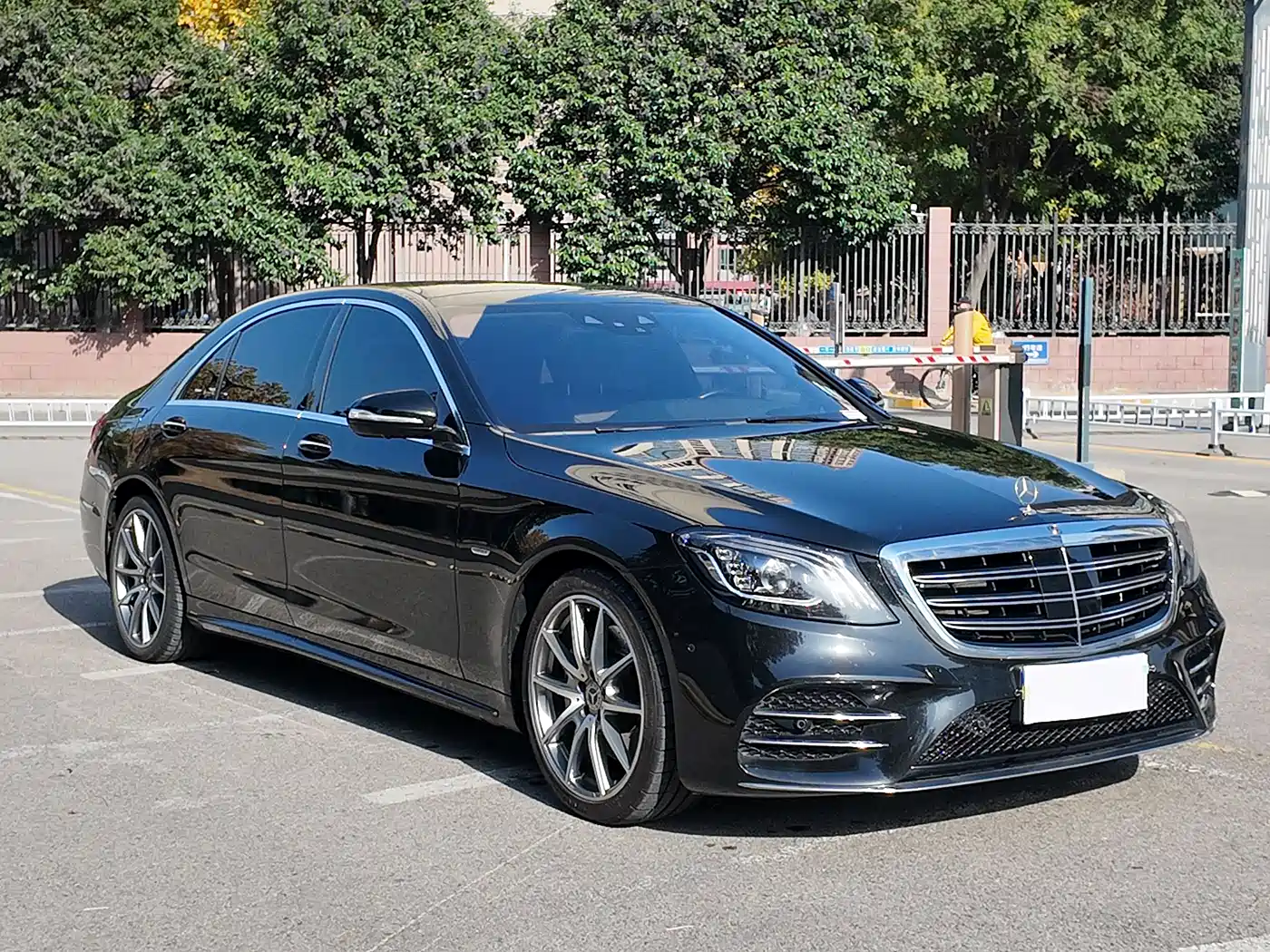 Mercedes-Benz S-Class 2020 S 450 L 4MATIC Collector's Version фото 3