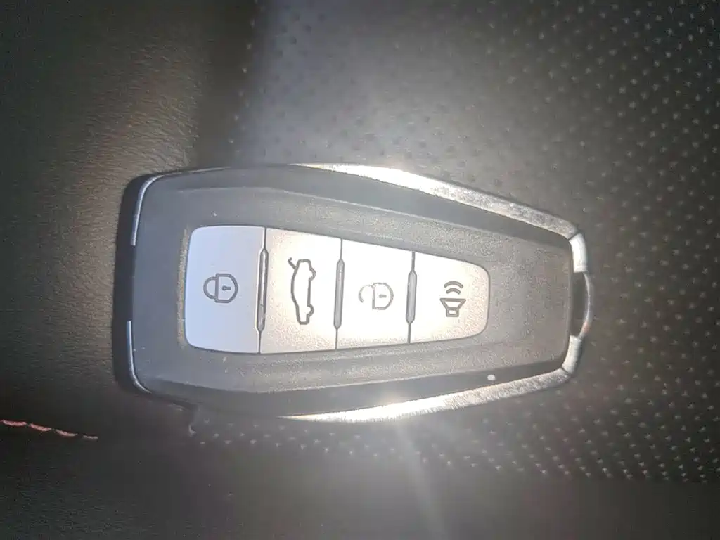 Фото 9 - Geely Binrui