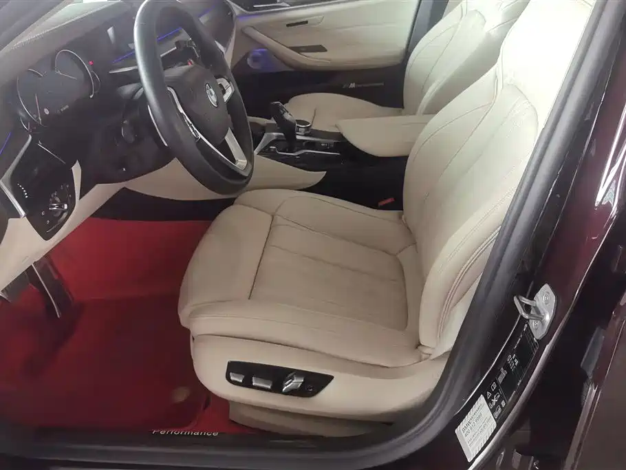 BMW 5 Series 2018 530Li xDrive Luxury Package фото 9