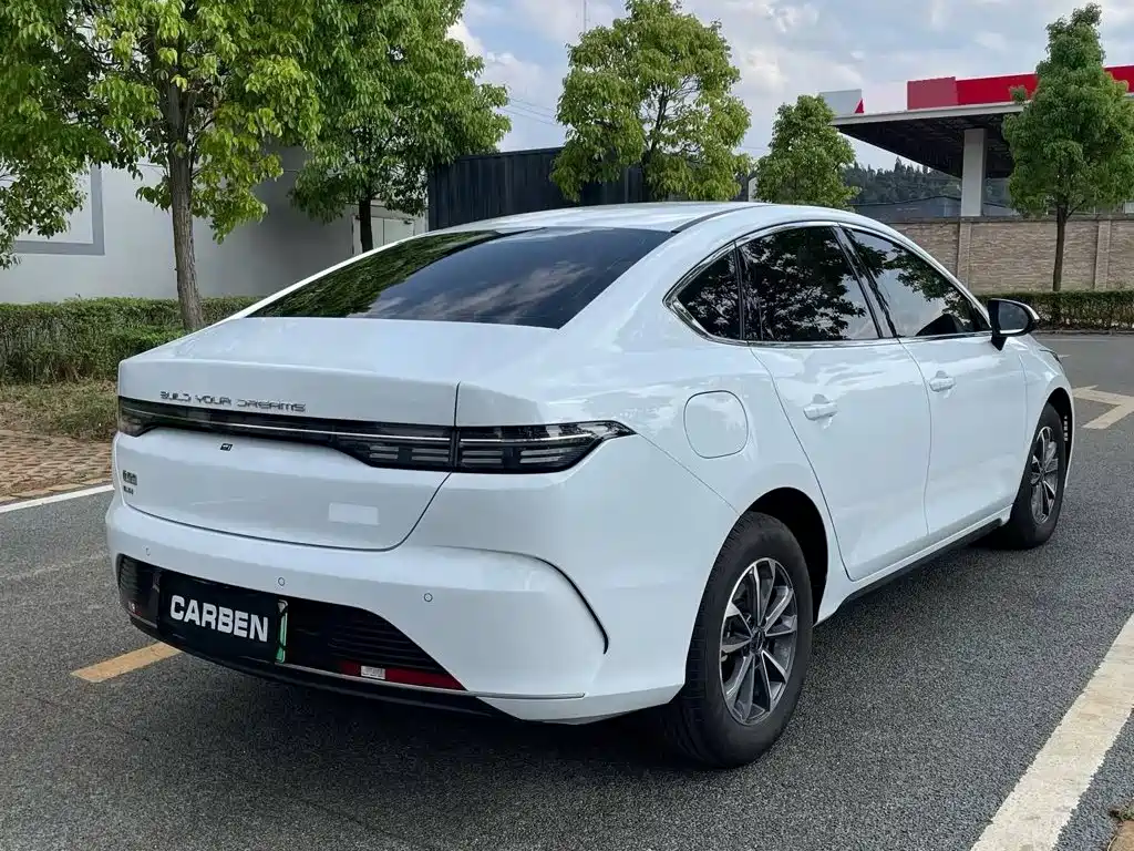 Фото 9 - BYD Destroyer 05