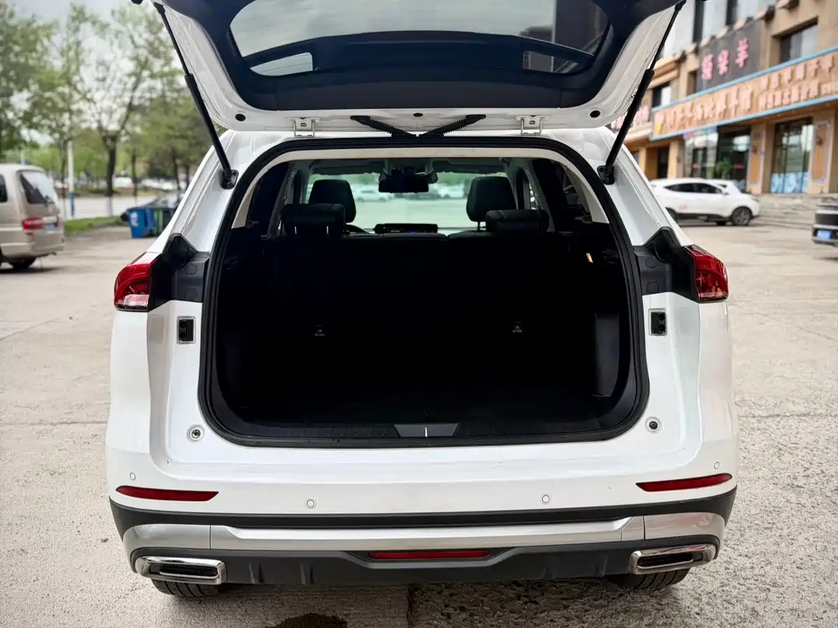 Haval H6 2023 National Trend Edition 1.5T Automatic Champion фото 14