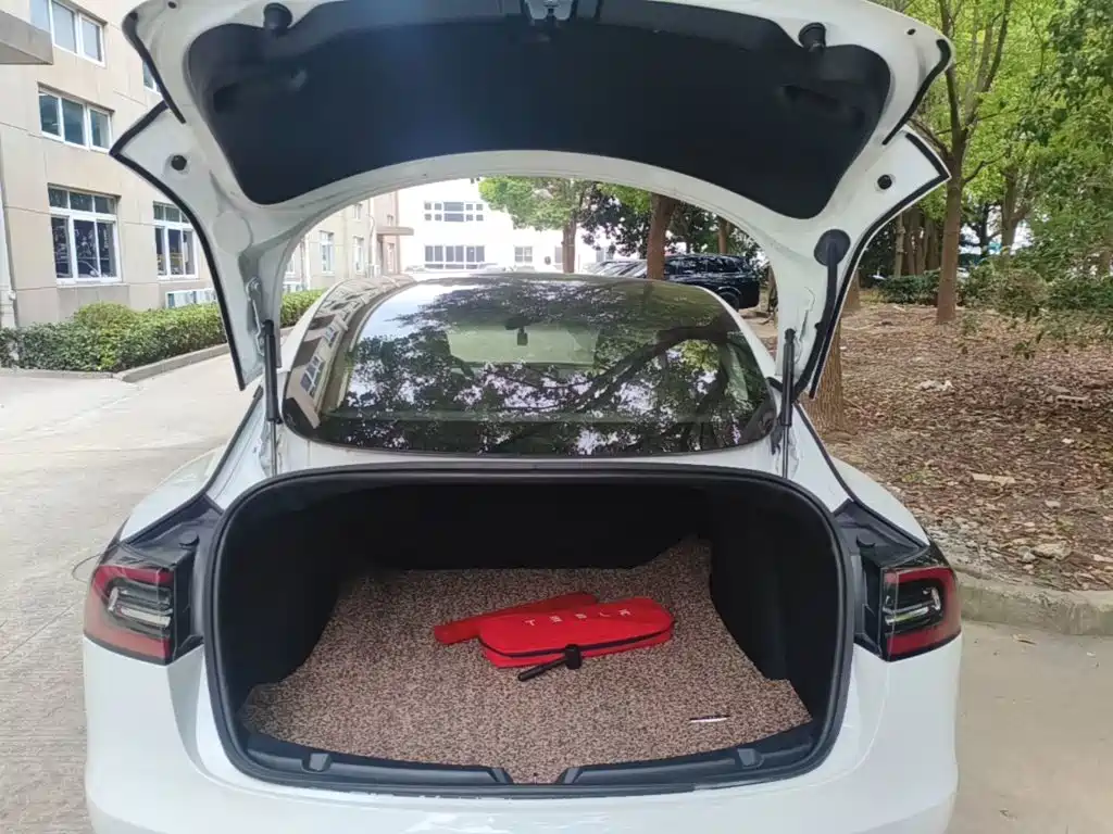 Tesla Model 3 (Import) 2019 2019 Long Range All-Wheel Drive Edition