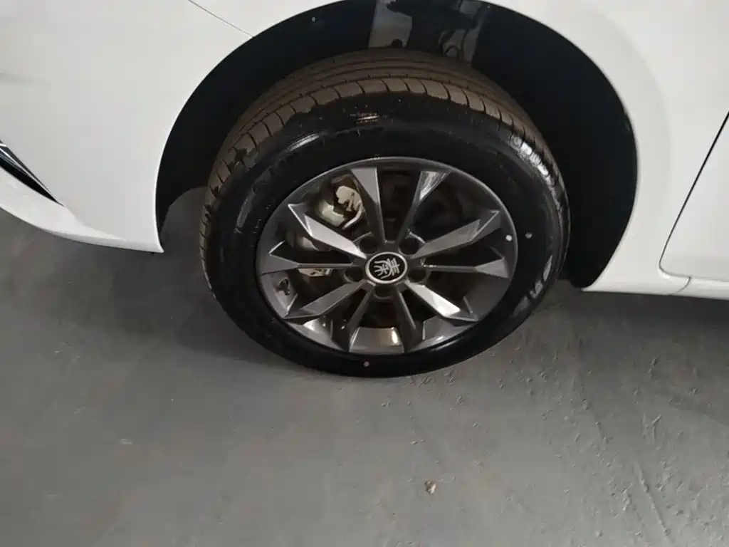 Фото 23 - BYD Qin New Energy