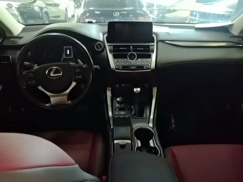 Фото 10 - Lexus NX