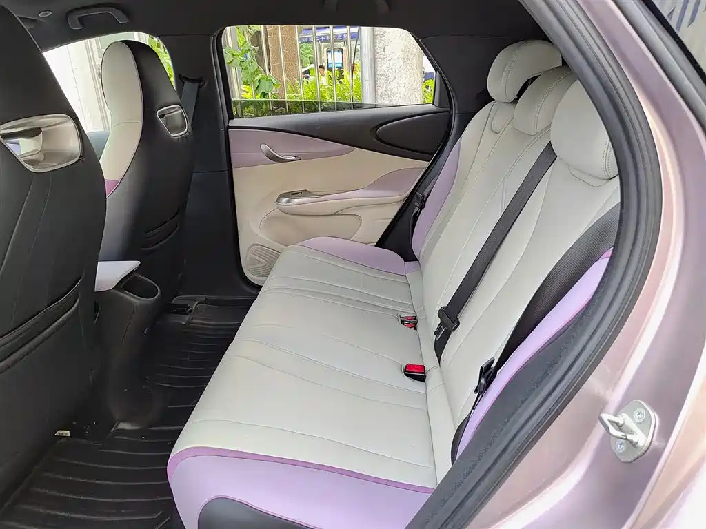 BYD Dolphin 2021 Model 405km Fashion Edition фото 8