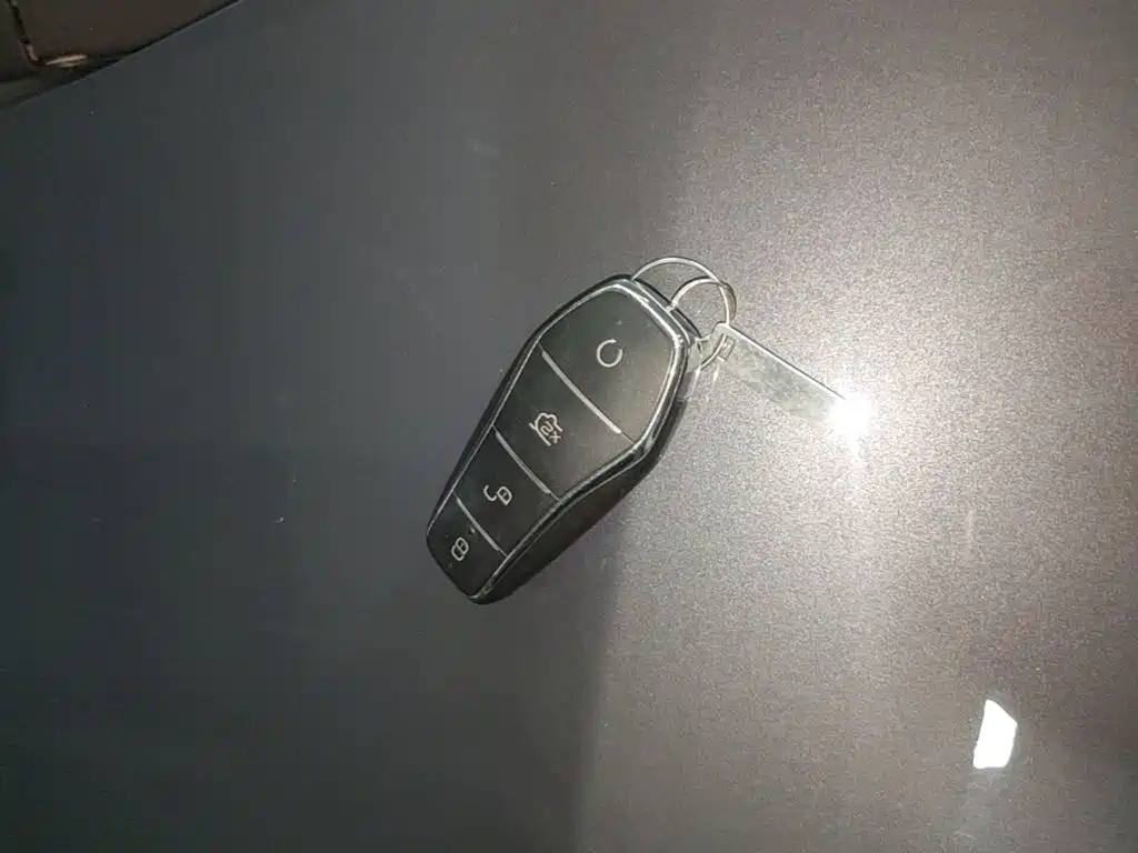 BYD e2 2021 2020 Upgraded Long Range Premium