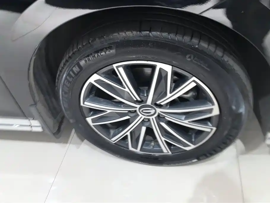 GAC Trumpchi Trumpchi M8 2024 Master Series 400T Ultimate Edition фото 6