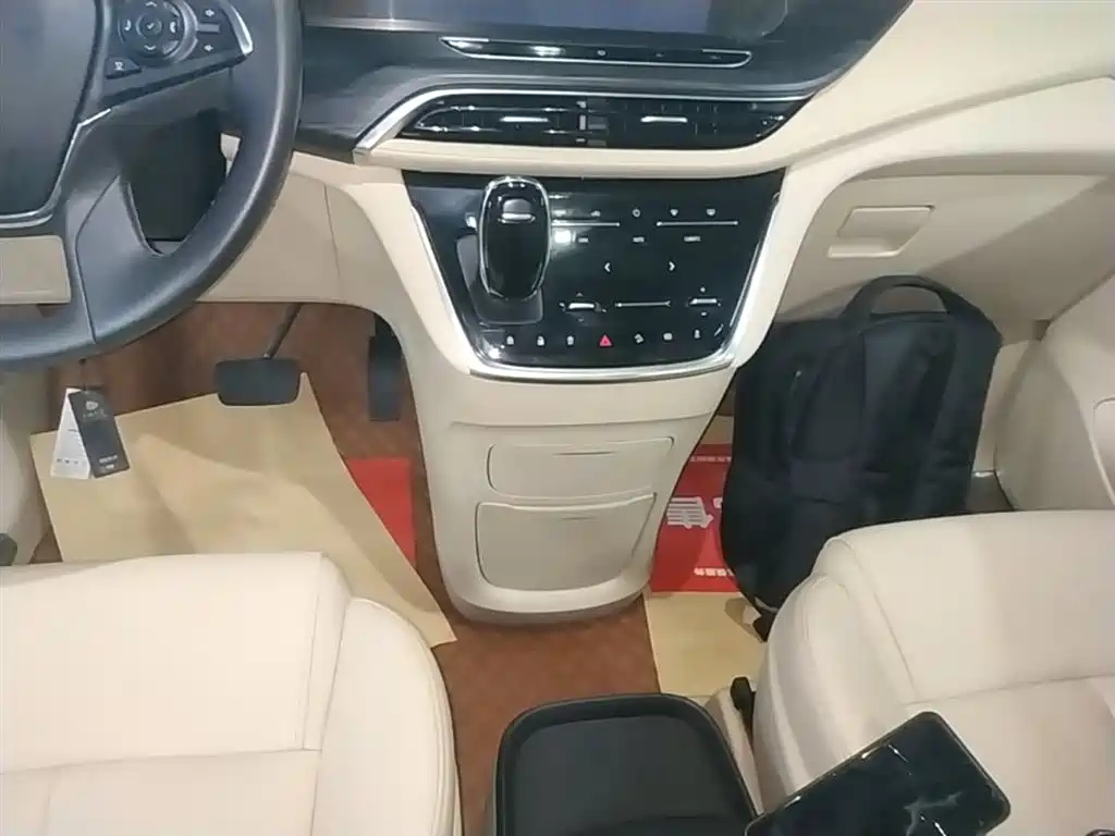 Buick GL8 2023 ES Landmaster Exclusive фото 14
