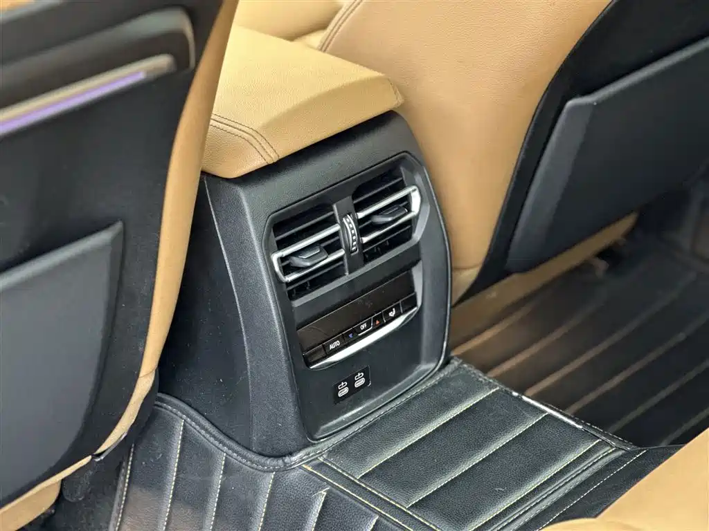 BMW 3 Series 2020 325Li M Sport Black Night Package фото 12