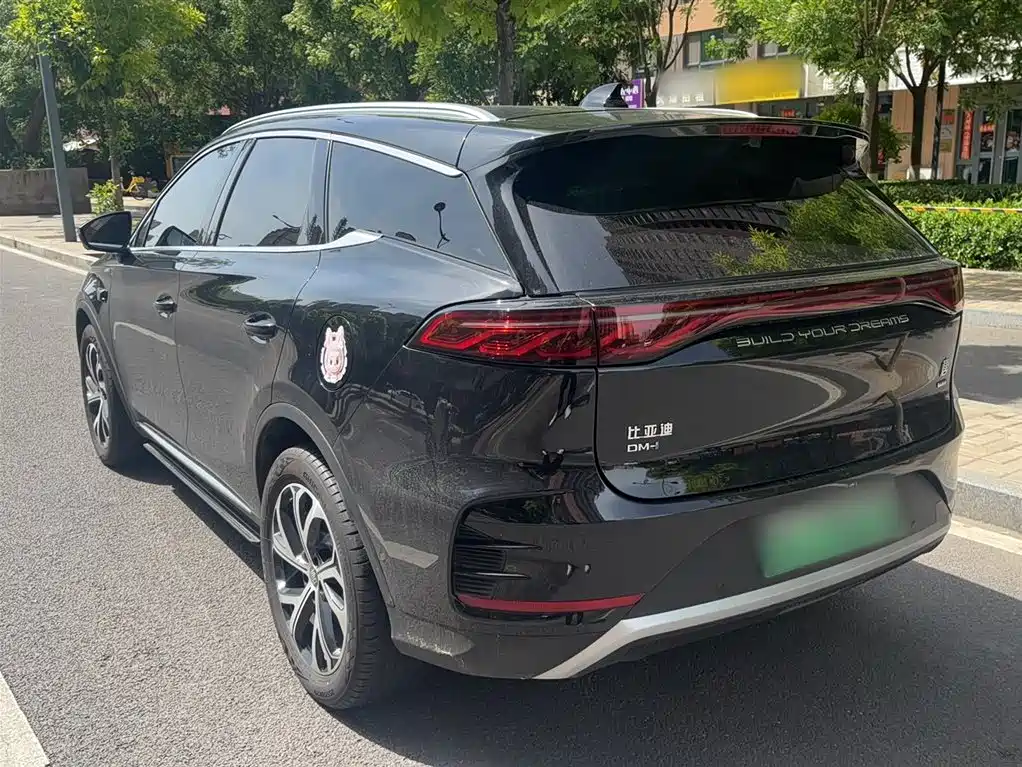 BYD Tang New Energy 2025 Smart Driving Edition DM-i 115KM Honor фото 11