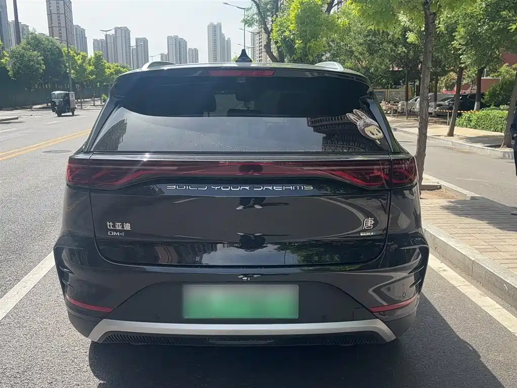 BYD Tang New Energy 2025 Smart Driving Edition DM-i 115KM Honor фото 10