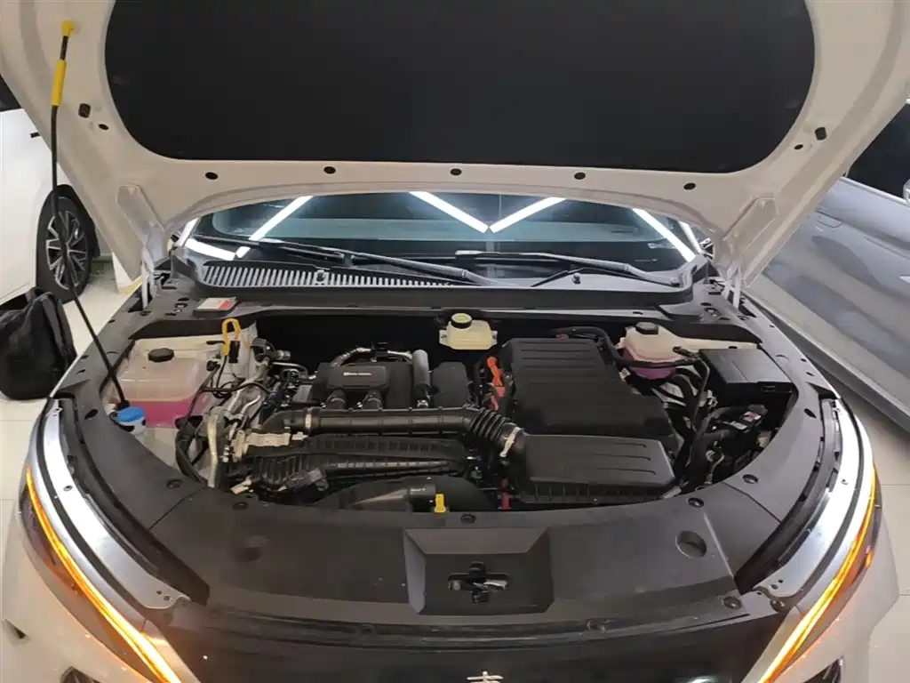 BYD Qin L 2024 DM-i 80KM Leading Edition фото 20