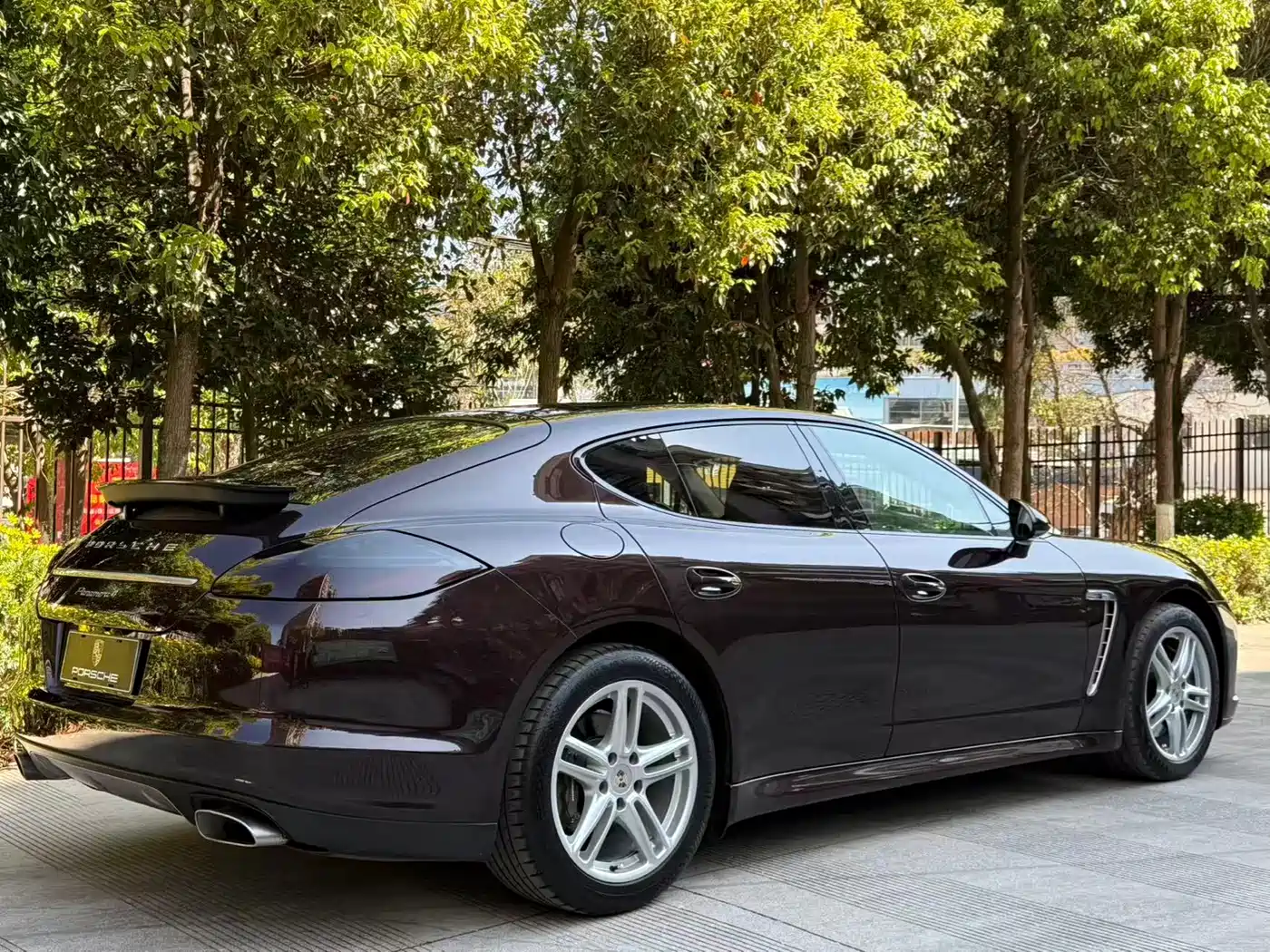 Porsche Panamera 2013 Panamera 4 Platinum Edition 3.6L фото 19