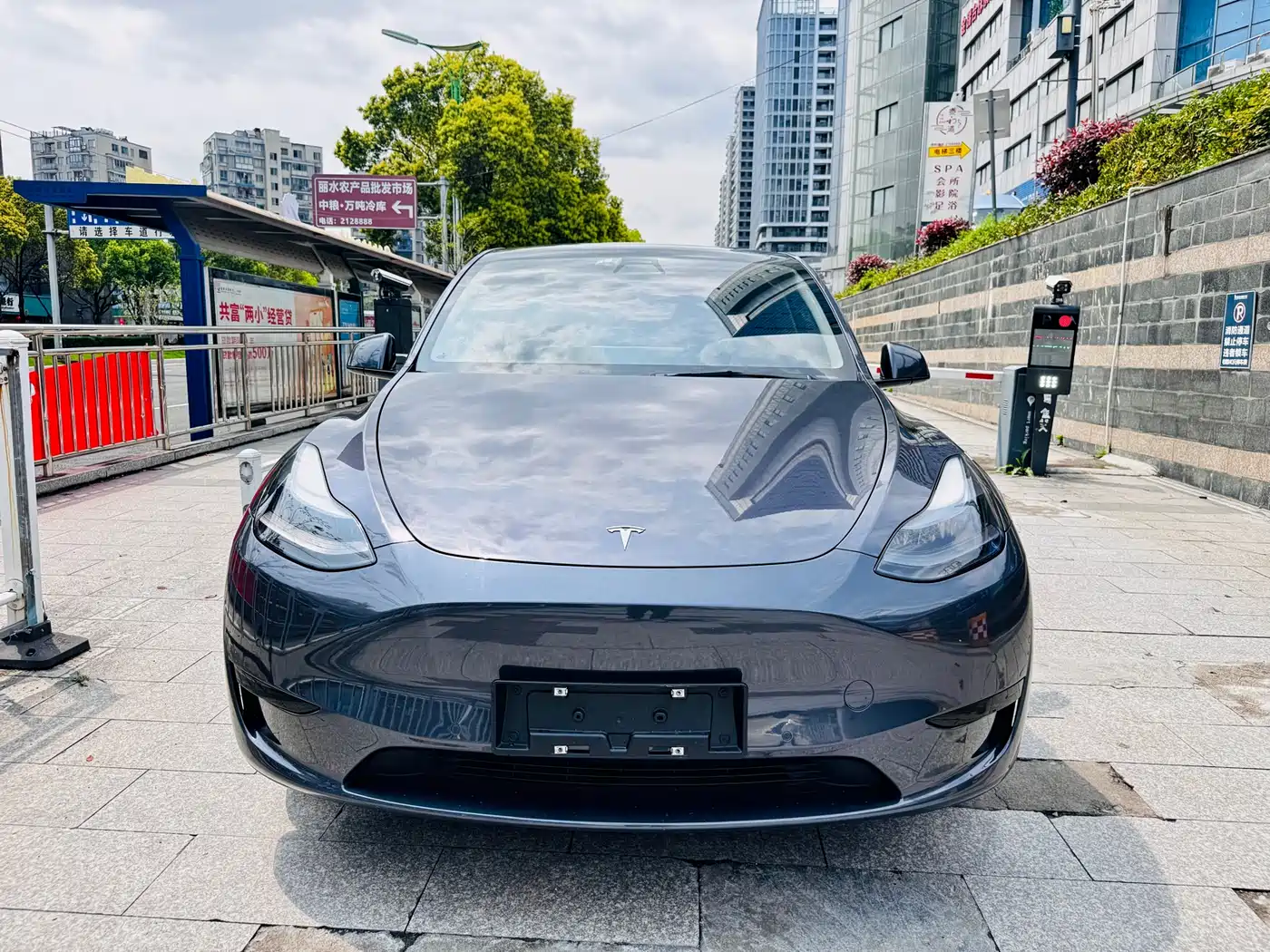 TESLA MODEL Y