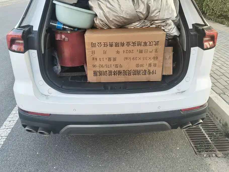 Chery Tiggo 8 PRO 2024 2024 Champion Edition 390T 4WD Peak Edition 7-Seater