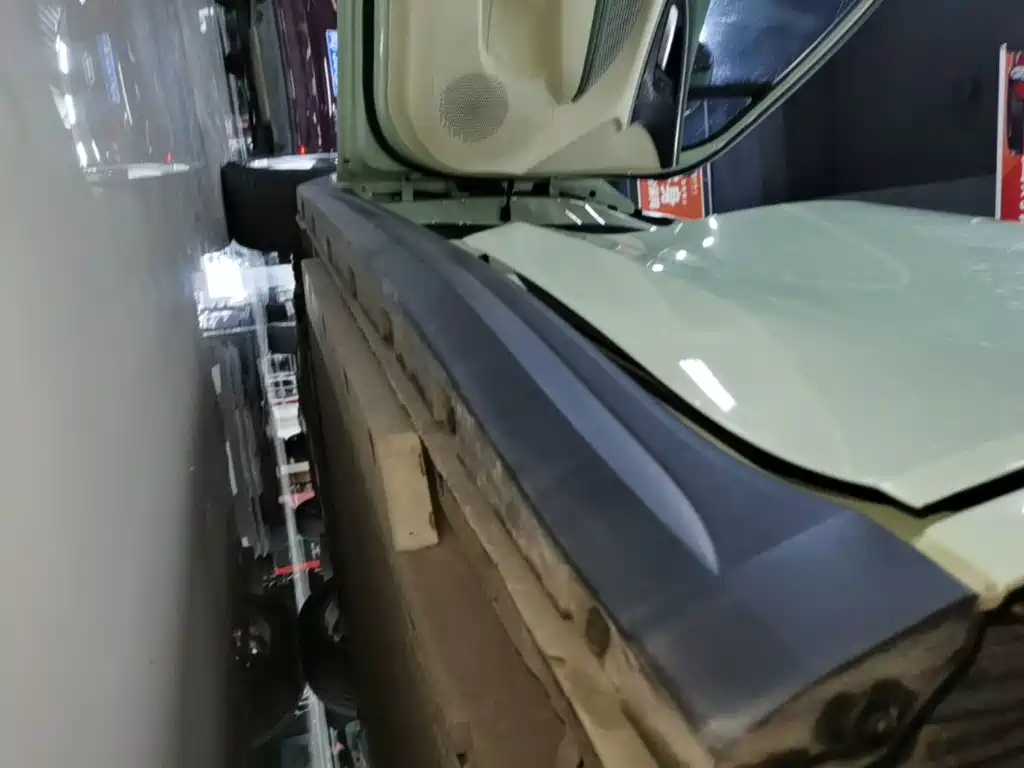 Ora Good Cat 2023 2023 401km Standard Range Premium LFP
