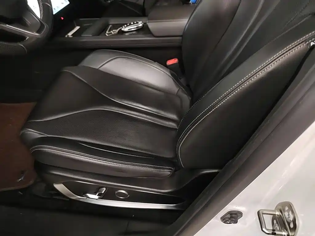 XPeng G3 2020 2019 Premium Edition