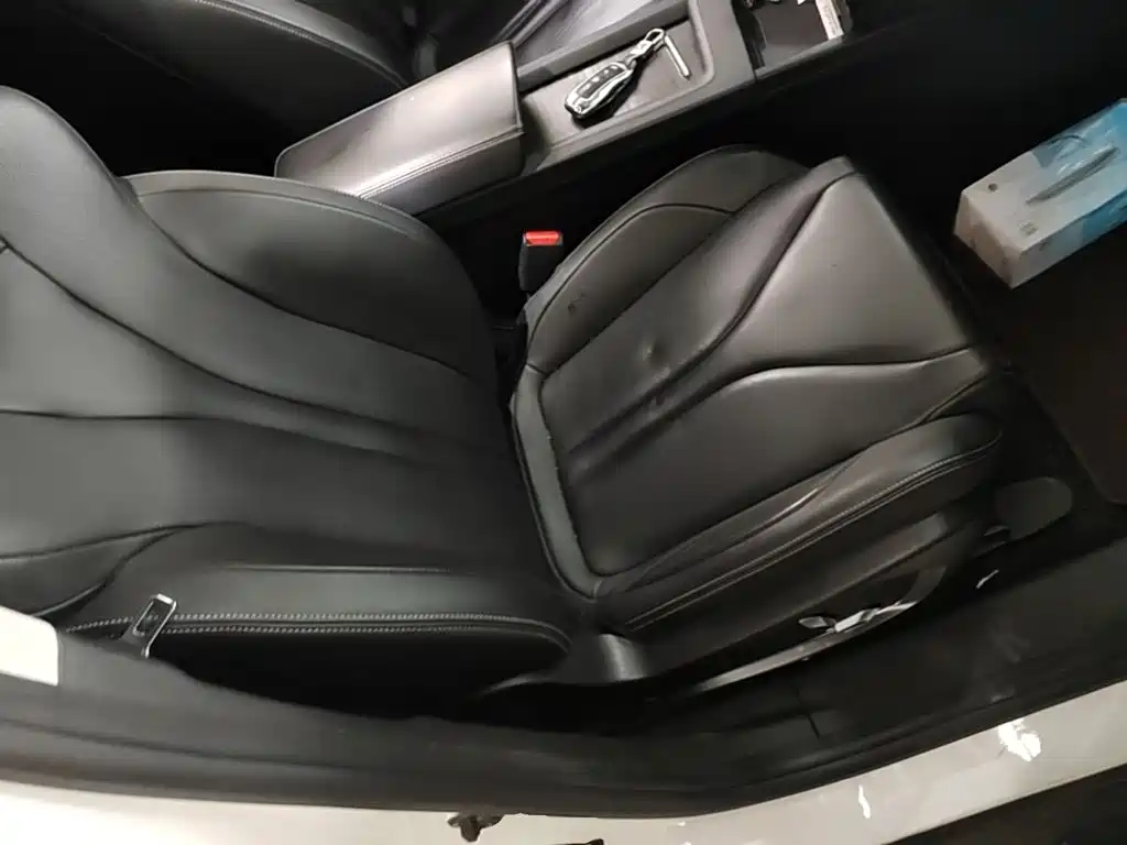 XPeng G3 2020 2019 Premium Edition