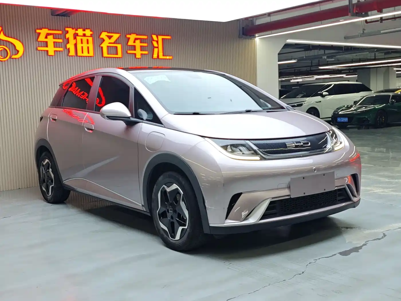 BYD Dolphin 2021 Model 405km Fashion Edition фото 4