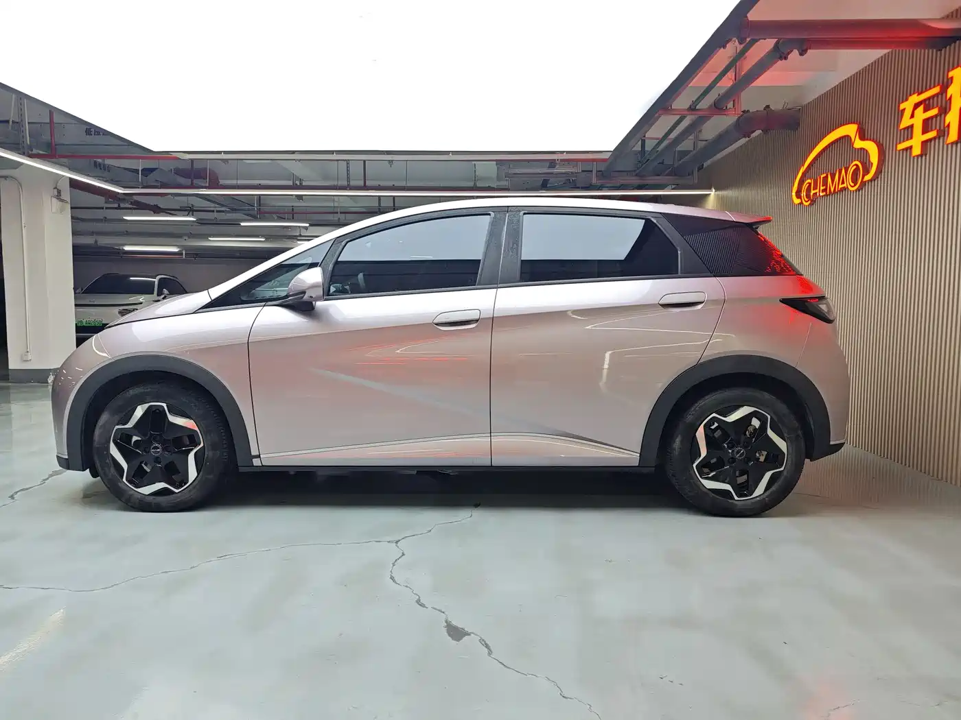BYD Dolphin 2021 Model 405km Fashion Edition фото 6