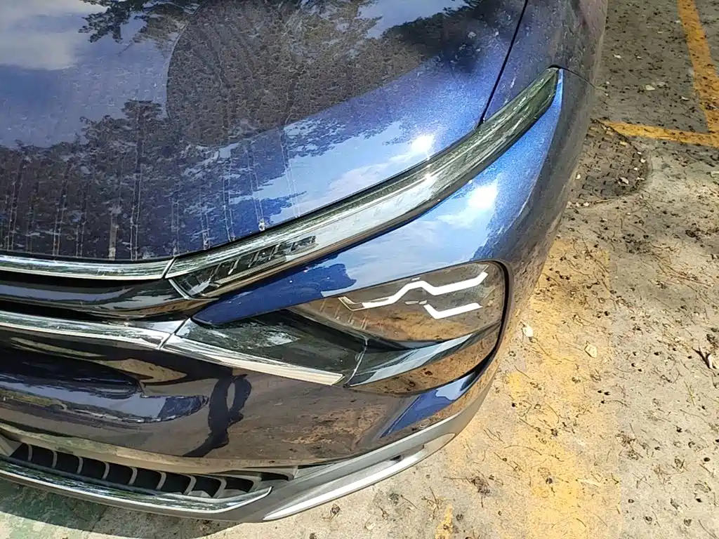 Citroën Versailles C5 X 2024 2024 1.6T Travel Elite Edition
