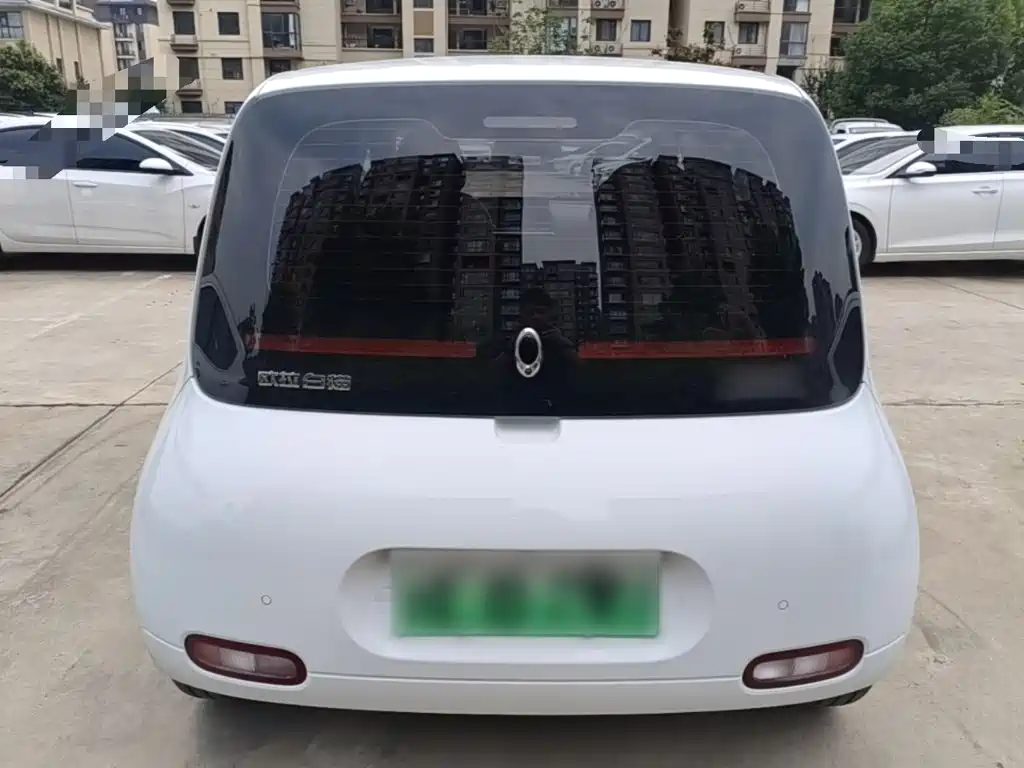 Ora White Cat 2021 2020 305km Luxury