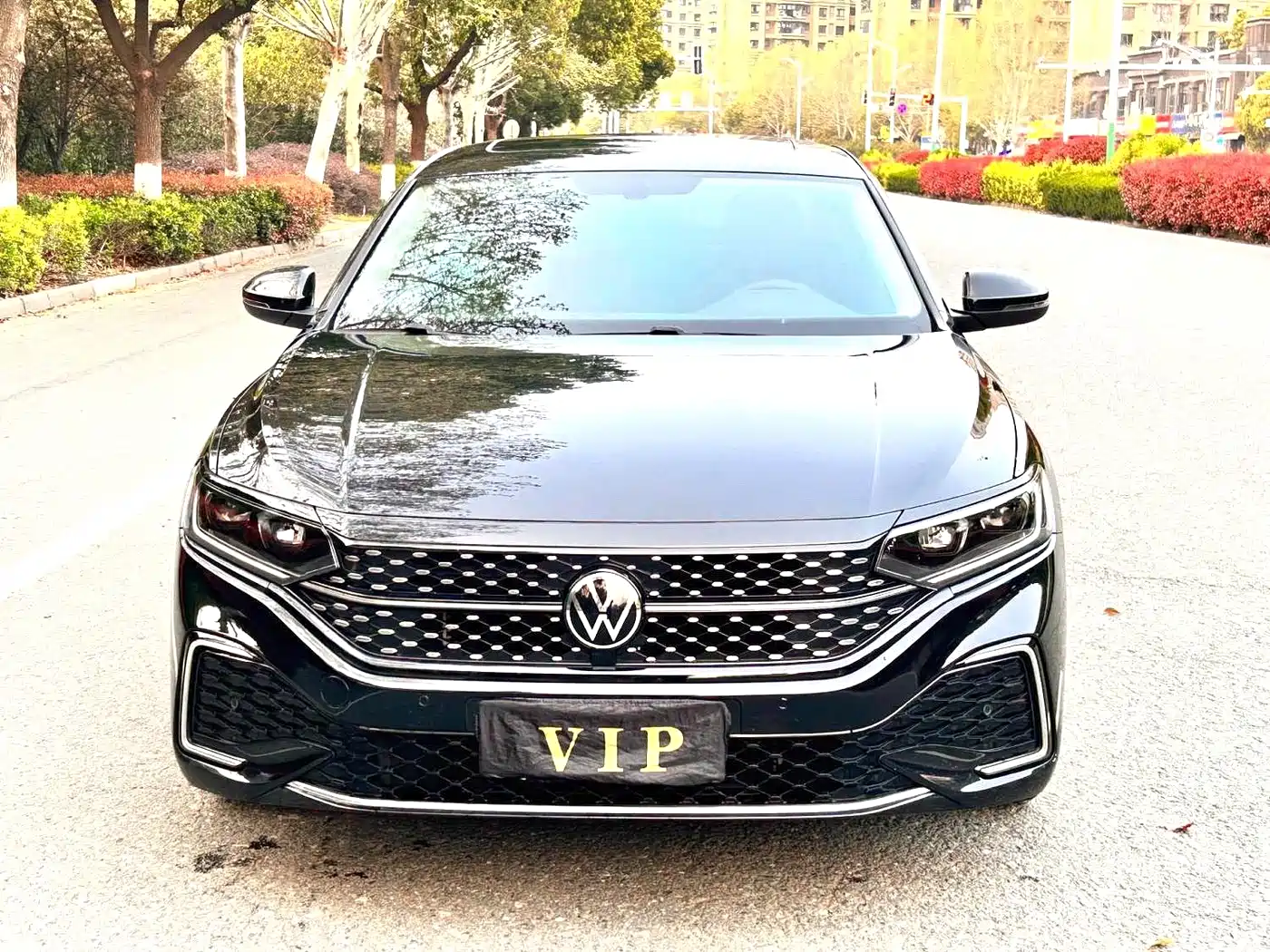 Volkswagen Passat 2022 330TSI Starlight Elite Edition фото 2