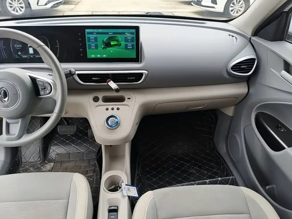 Ora White Cat 2021 2020 305km Luxury