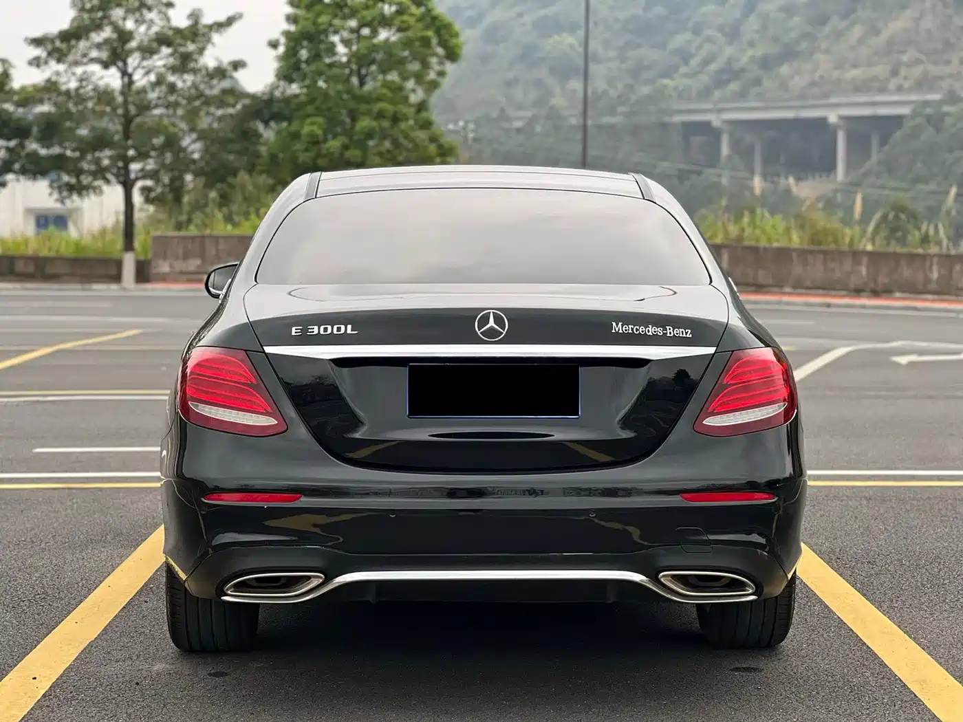 Mercedes-Benz E-Class 2019 E 300 L Sport Fashion фото 5