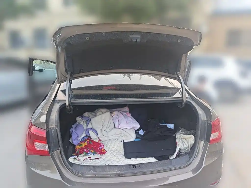 Фото 10 - Buick Excelle
