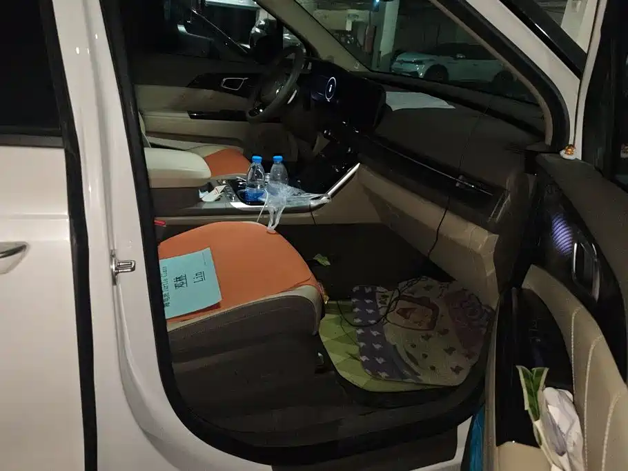 Kia Carnival 2024 2021 2.0T Flagship Edition