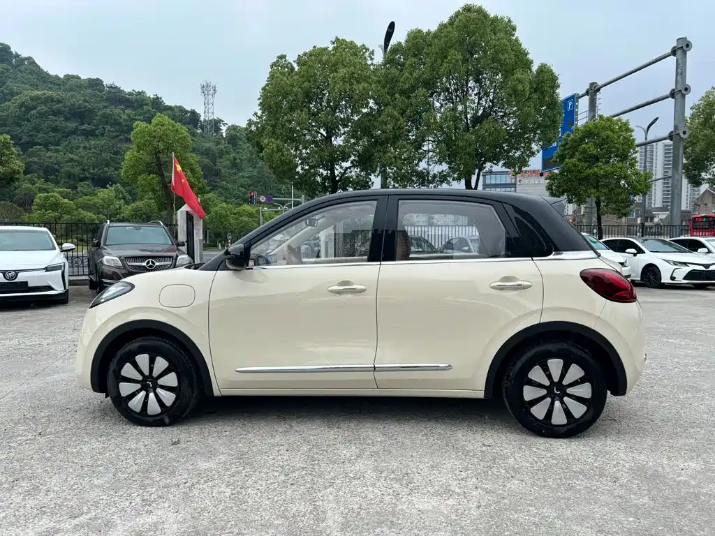 Wuling Motors Wuling Bingo 2026 2025 Model 333km Joy Edition