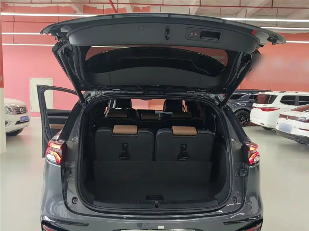 BYD Tang New Energy 2021 DM-i 112KM Honor фото 19