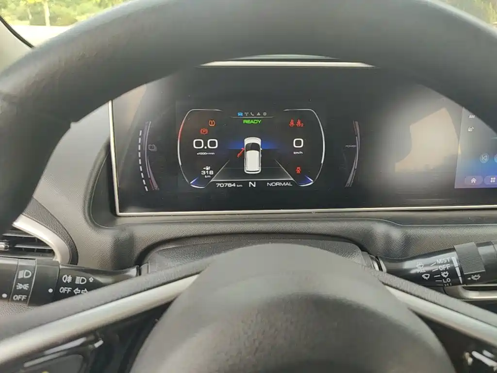 Ora White Cat 2020 2020 360km Luxury Model