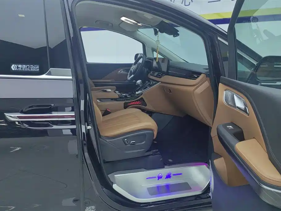 Hongqi HQ9 PHEV 2024 Model 2.0T AWD Business Edition фото 8