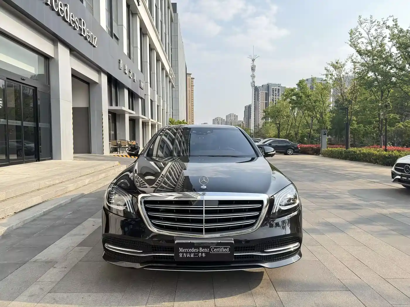 Mercedes-Benz S-Class 2020 S 350 L Premium Edition Collector's Version фото 2