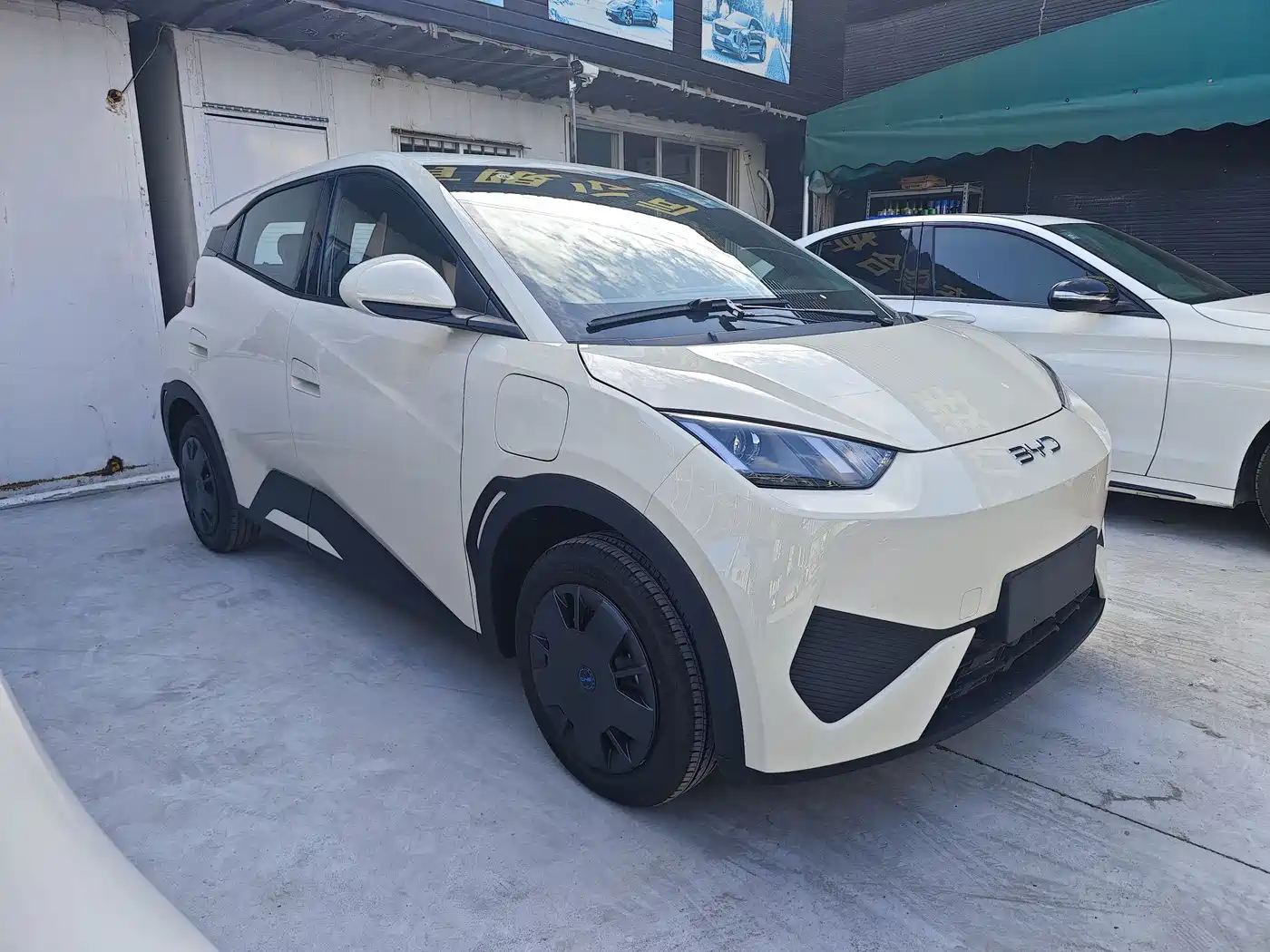 BYD Seagull 2025 Smart Drive Edition 305km Vitality Version фото 2