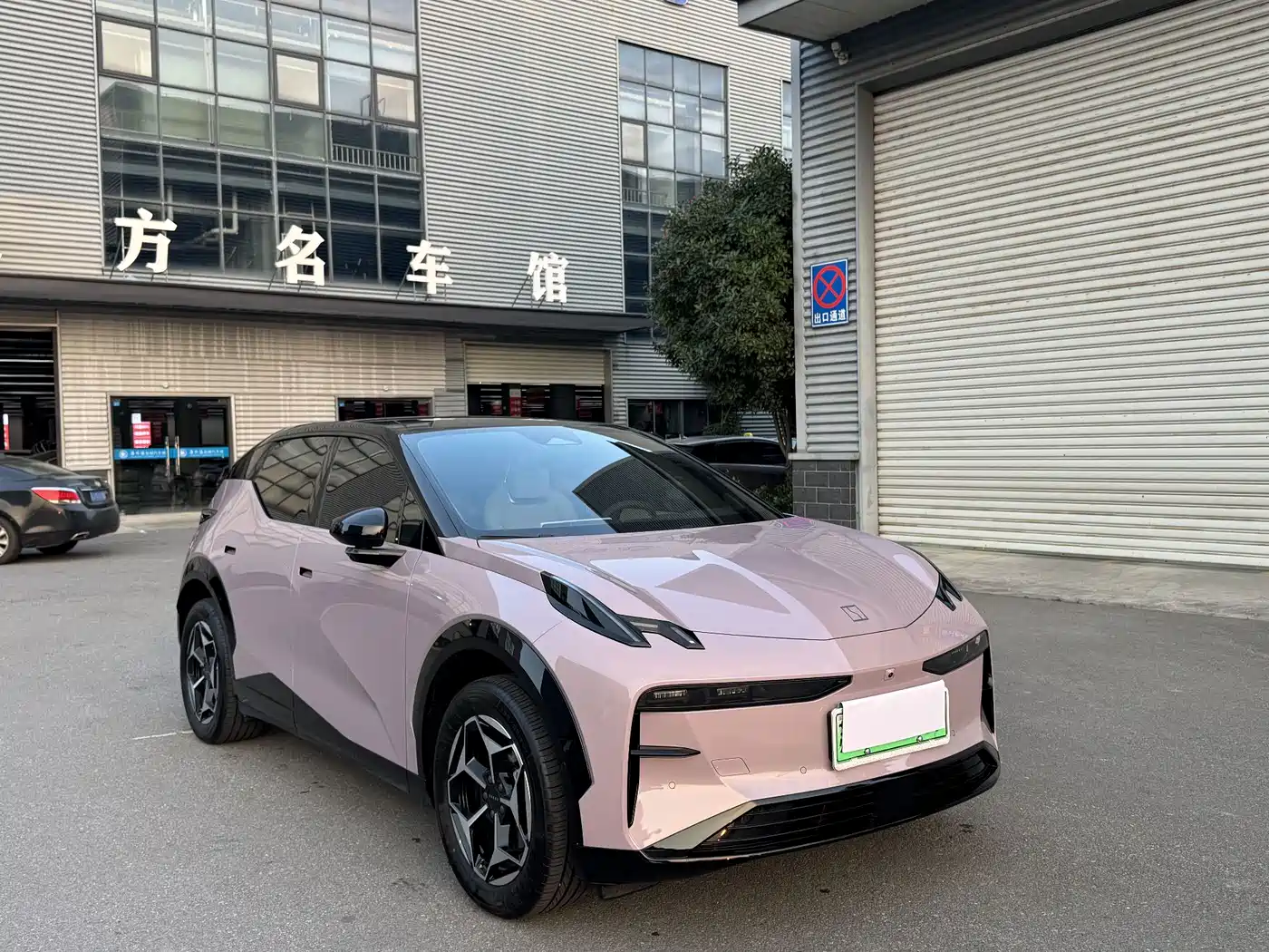 ZEEKR X 2025 2025 5-Seater Long Range Edition