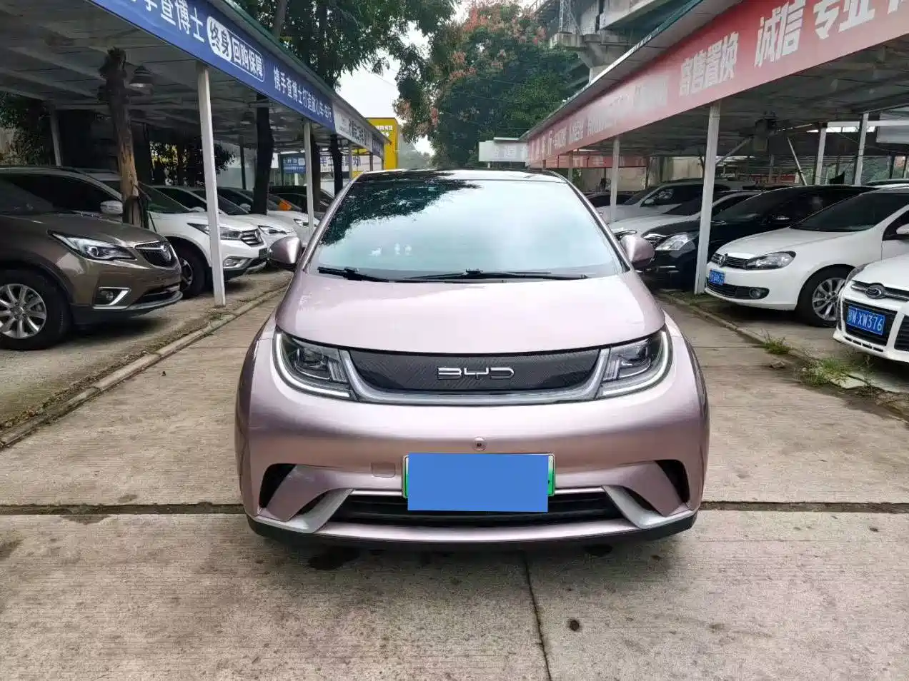 Фото 2 - BYD Dolphin