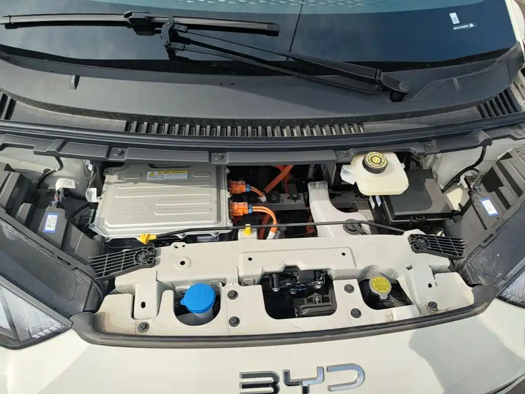 BYD Seagull 2026 2025 Smart Drive Edition 305km Vitality Version