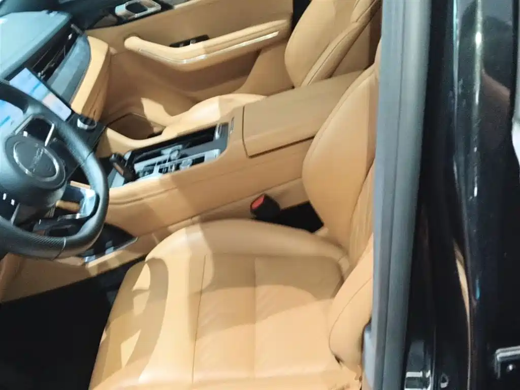 Lynk & Co 09 EM-P 2023 2.0TD EM-P AWD Asian Games Executive Edition 5-Seater фото 15