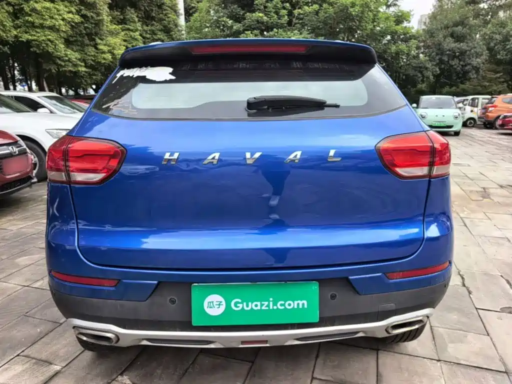 Фото 6 - Haval H2s