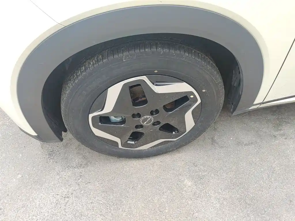 BYD Dolphin 2021 Model 405km Fashion Edition фото 23